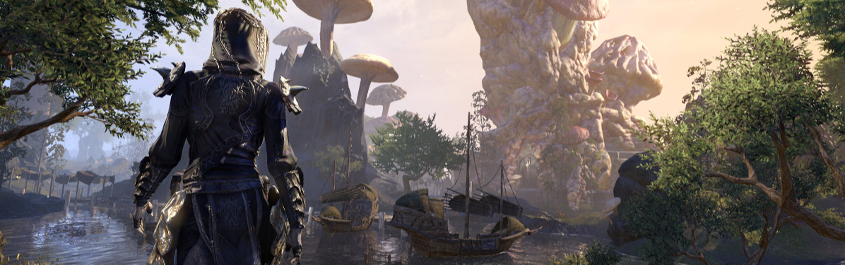 Разработчики The Elder Scrolls Online планируют внести крупные изменения в боевую систему игры
