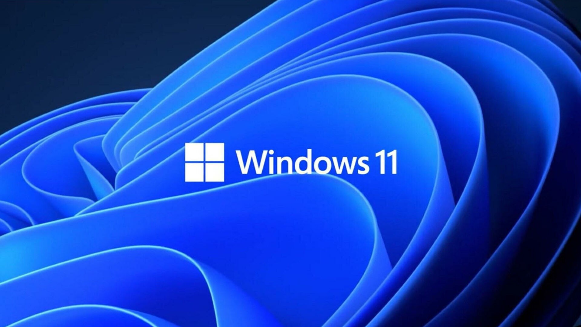 AdDuplex: Windows 11 установлена более чем на 19% устройств